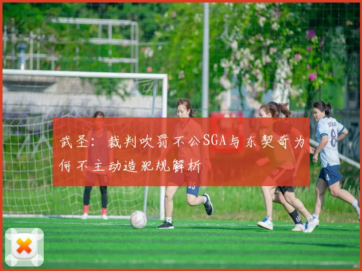 武圣：裁判吹罚不公SGA与东契奇为何不主动造犯规解析